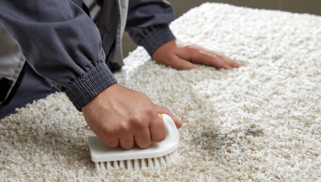 Professional Rug Cleaning Hawthorn