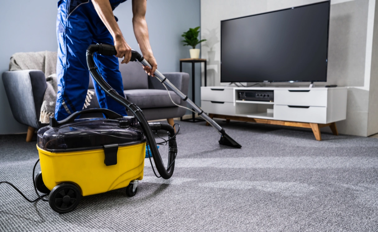 Extract Rug Cleaning Hawthorn Contact Office